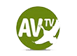 AV TV